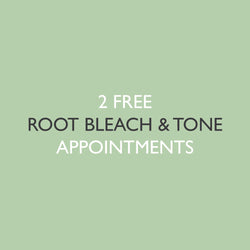 6x Root Bleach & Tone Application