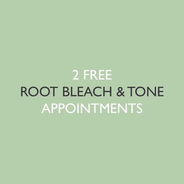 6x Root Bleach & Tone Application