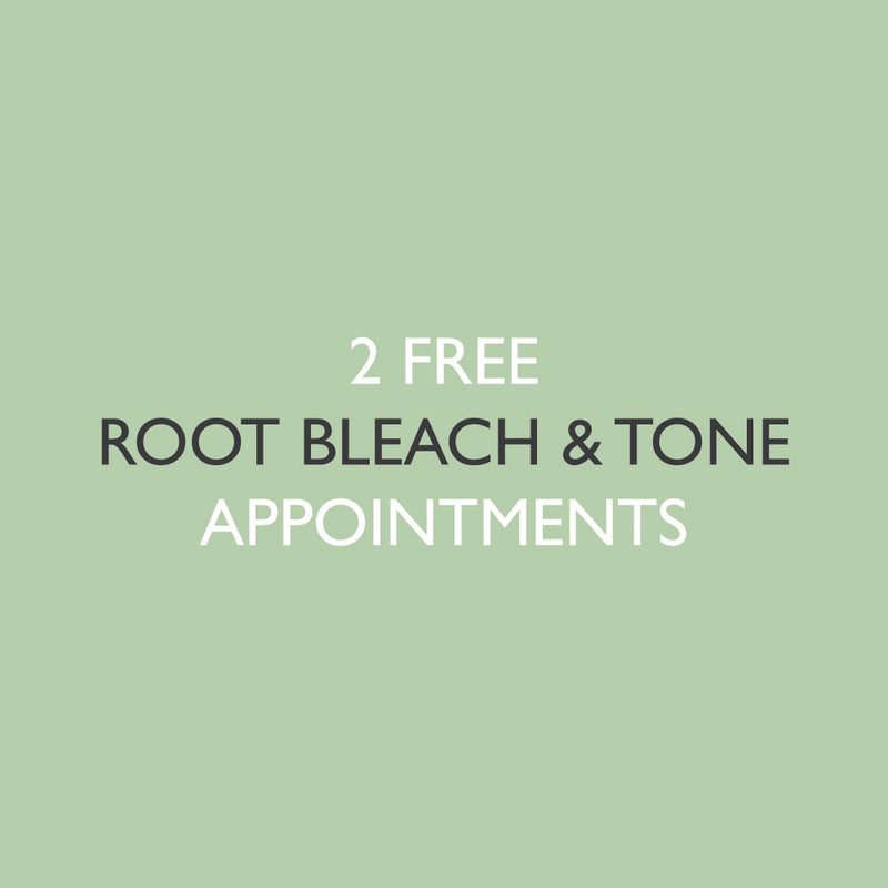 6x Root Bleach & Tone Application