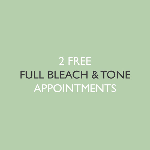 6x Full Bleach & Tone Application
