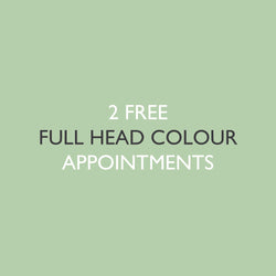 6x Full Head Colour Application