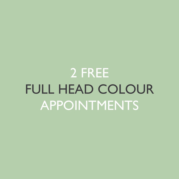 6x Full Head Colour Application