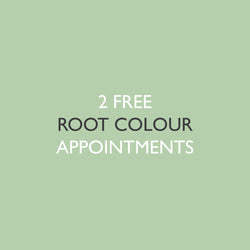 6x Root Colour Application