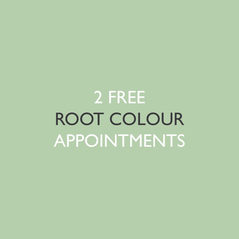 6x Root Colour Application