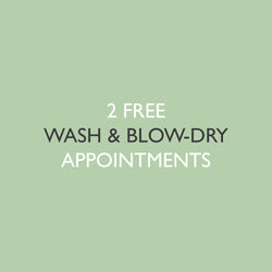 6x Wash & Blow-Dries