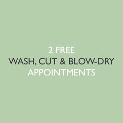 6x Wash, Cut & Blow-Dries