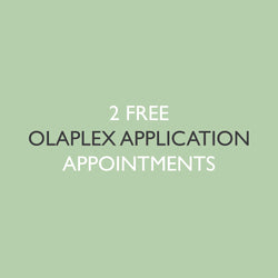 6x Olaplex Treatment Applications